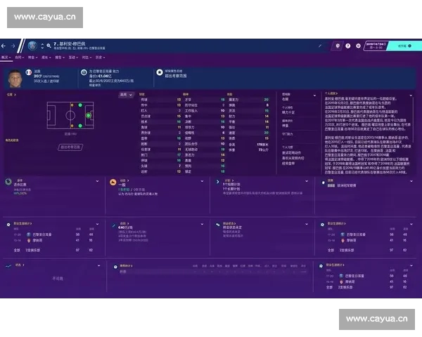 全球顶级足球联赛实时数据分析与互动娱乐平台新体验
