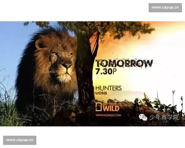 全球足球联赛官网入口导航与赛事信息一站式服务平台探索指南